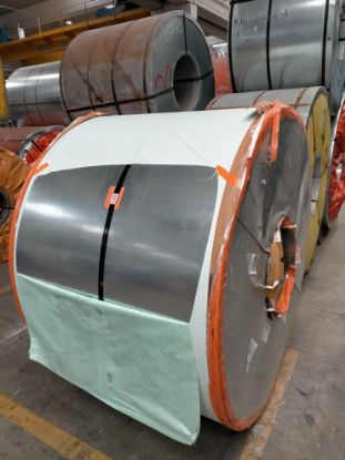 Immagine di 2201879841